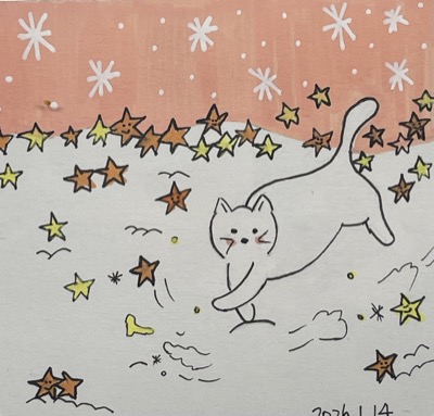 cat is playing with star